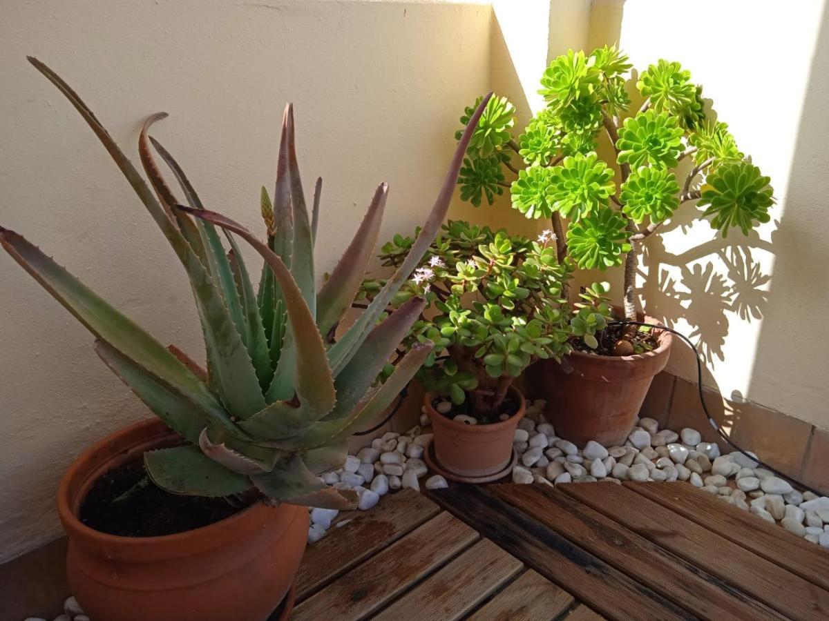 Livingtarifa Apartamento Nano 外观 照片